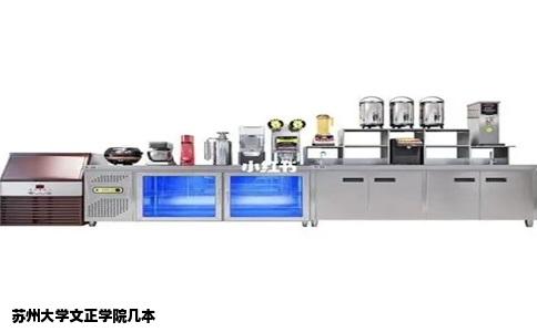 苏州大学文正学院几本