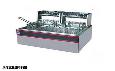 求作文我眼中的家