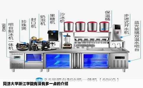 同济大学浙江学院有没有多一点的介绍