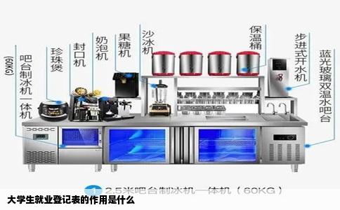 大学生就业登记表的作用是什么