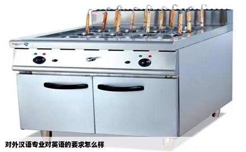 对外汉语专业对英语的要求怎么样