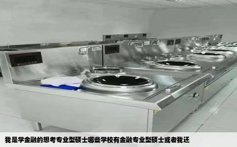 我是学金融的想考专业型硕士哪些学校有金融专业型硕士或者我还