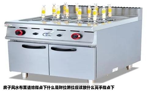 房子风水布置请给指点下什么是财位煞位应该放什么高手指点下