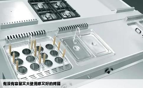 有没有容量又大使用感又好的烤箱