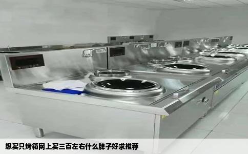 想买只烤箱网上买三百左右什么牌子好求推荐