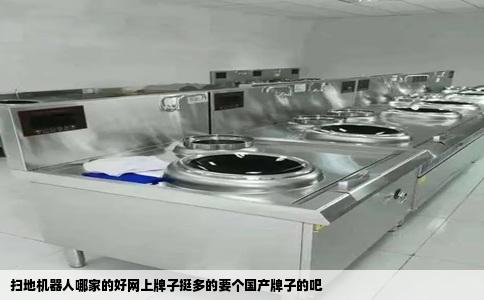 扫地机器人哪家的好网上牌子挺多的要个国产牌子的吧