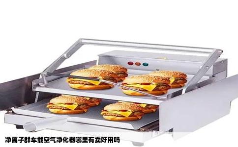 净离子群车载空气净化器哪里有卖好用吗