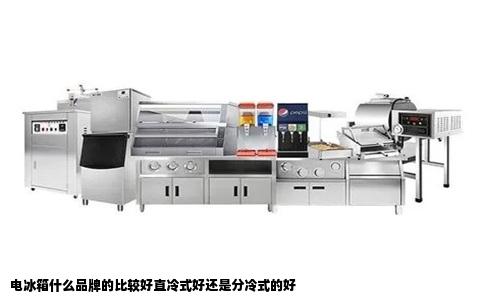 电冰箱什么品牌的比较好直冷式好还是分冷式的好