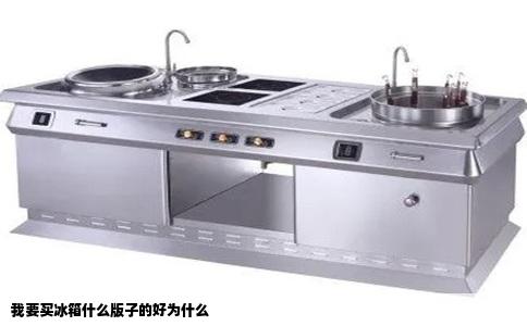 我要买冰箱什么版子的好为什么