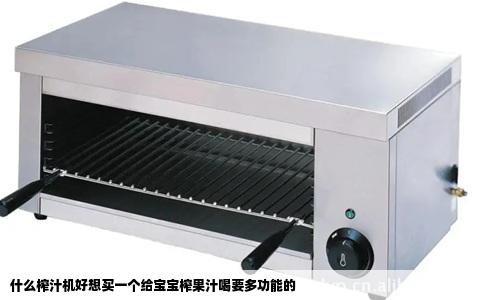 什么榨汁机好想买一个给宝宝榨果汁喝要多功能的
