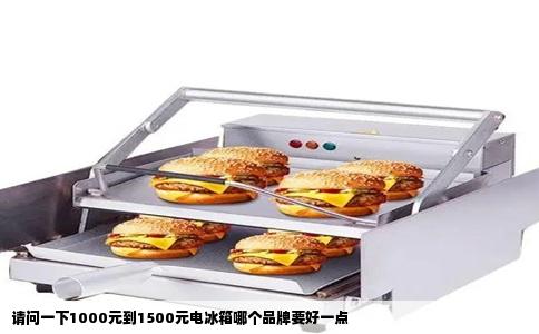 请问一下1000元到1500元电冰箱哪个品牌要好一点