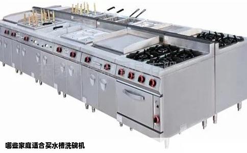 哪些家庭适合买水槽洗碗机