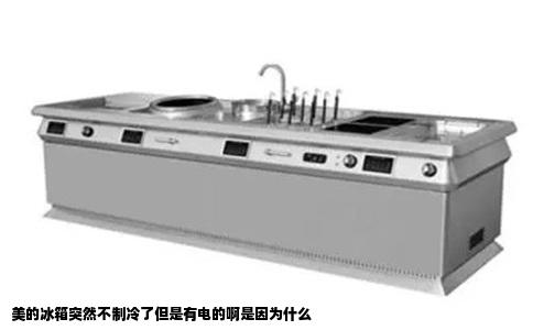 美的冰箱突然不制冷了但是有电的啊是因为什么