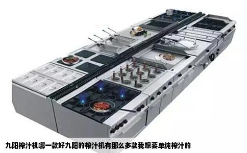 九阳榨汁机哪一款好九阳的榨汁机有那么多款我想要单纯榨汁的
