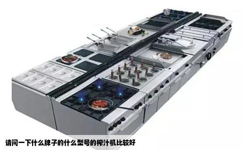 请问一下什么牌子的什么型号的榨汁机比较好