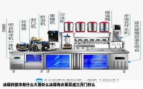 冰箱的微冻有什么大用处么冰箱有必要买成三开门的么