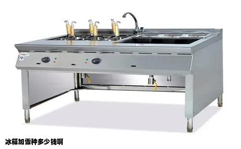 冰箱加雪种多少钱啊