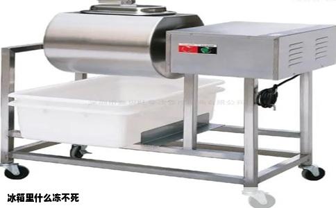 冰箱里什么冻不死