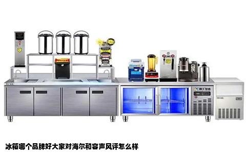 冰箱哪个品牌好大家对海尔和容声风评怎么样