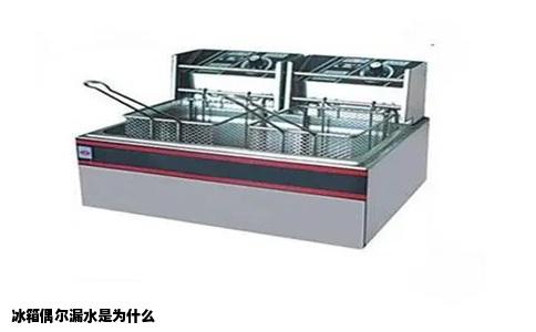 冰箱偶尔漏水是为什么