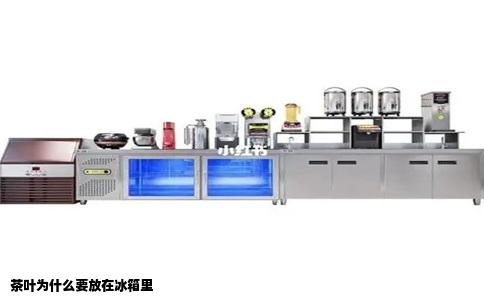 茶叶为什么要放在冰箱里