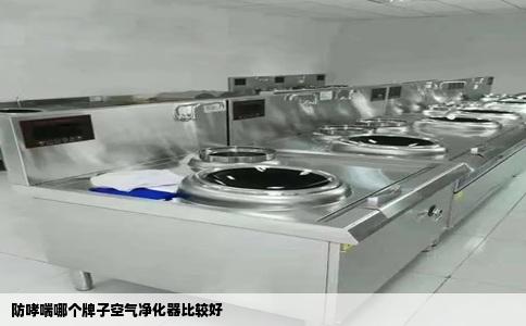 防哮喘哪个牌子空气净化器比较好
