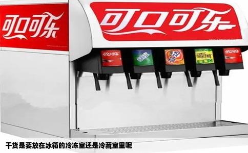 干货是要放在冰箱的冷冻室还是冷藏室里呢