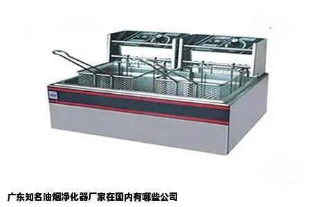 广东知名油烟净化器厂家在国内有哪些公司