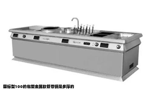 国标型100的包塑金属软管带钢是多厚的