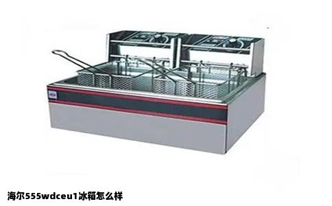 海尔555wdceu1冰箱怎么样