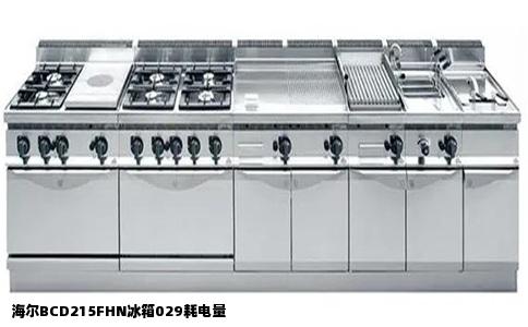 海尔BCD215FHN冰箱029耗电量