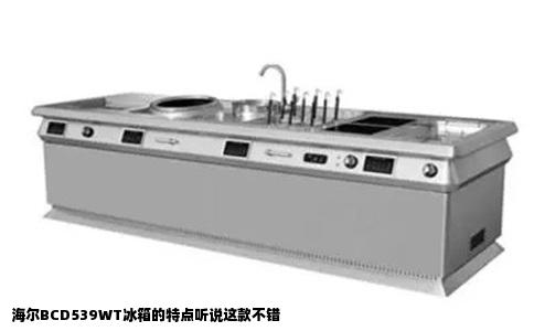 海尔BCD539WT冰箱的特点听说这款不错