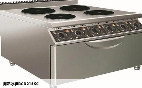 海尔冰箱BCD215KC