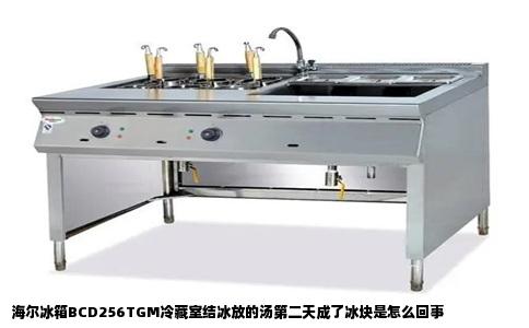 海尔冰箱BCD256TGM冷藏室结冰放的汤第二天成了冰块是怎么回事