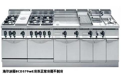 海尔冰箱BCD579wE冷冻正常冷藏不制冷