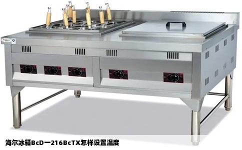 海尔冰箱BcD一216BcTX怎样设置温度