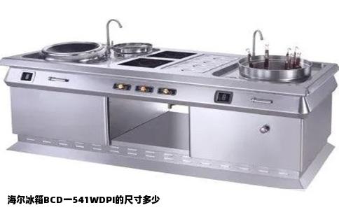 海尔冰箱BCD一541WDPI的尺寸多少