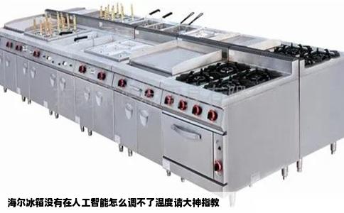 海尔冰箱没有在人工智能怎么调不了温度请大神指教