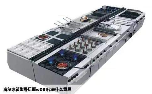 海尔冰箱型号后面wDBI代表什么意思