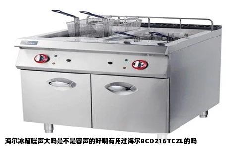 海尔冰箱噪声大吗是不是容声的好啊有用过海尔BCD216TCZL的吗