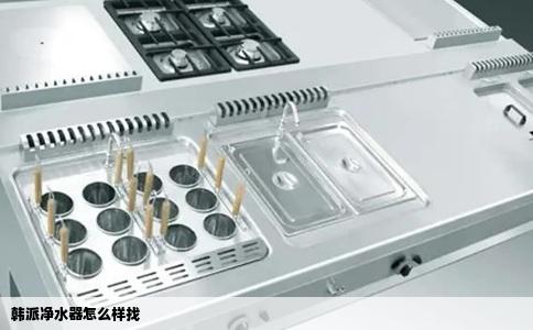 韩派净水器怎么样找