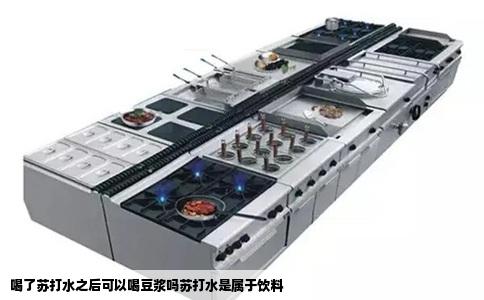 喝了苏打水之后可以喝豆浆吗苏打水是属于饮料