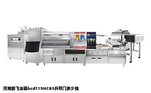 河南新飞冰箱bcd119HC85升双门多少钱