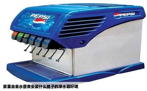 家里自来水很黄安装什么牌子的净水器好呢