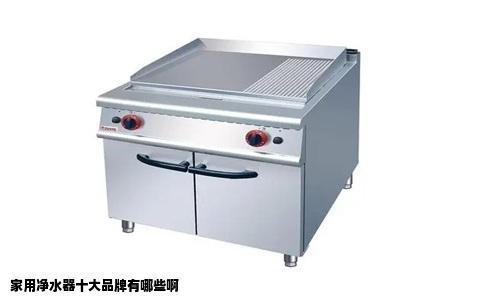 家用净水器十大品牌有哪些啊