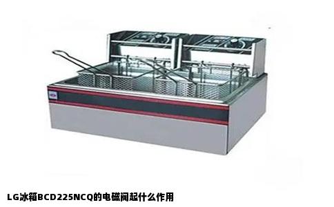 LG冰箱BCD225NCQ的电磁阀起什么作用