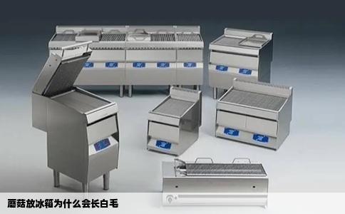蘑菇放冰箱为什么会长白毛