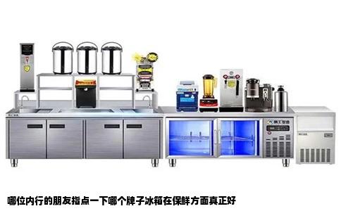 哪位内行的朋友指点一下哪个牌子冰箱在保鲜方面真正好