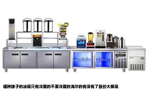 哪种牌子的冰箱只有冷藏的不要冷藏的海尔的有没有了报价大概是