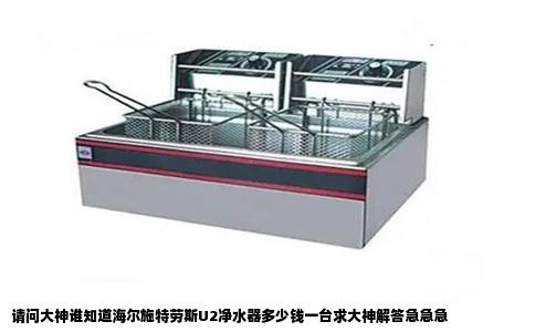请问大神谁知道海尔施特劳斯U2净水器多少钱一台求大神解答急急急